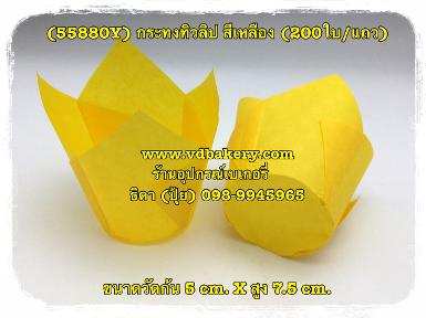 (สินค้าหมด) (55880Y) กระทงทิวลิป วัดก้น 5 cm. สีเหลือง (200 ใบ/แถว)